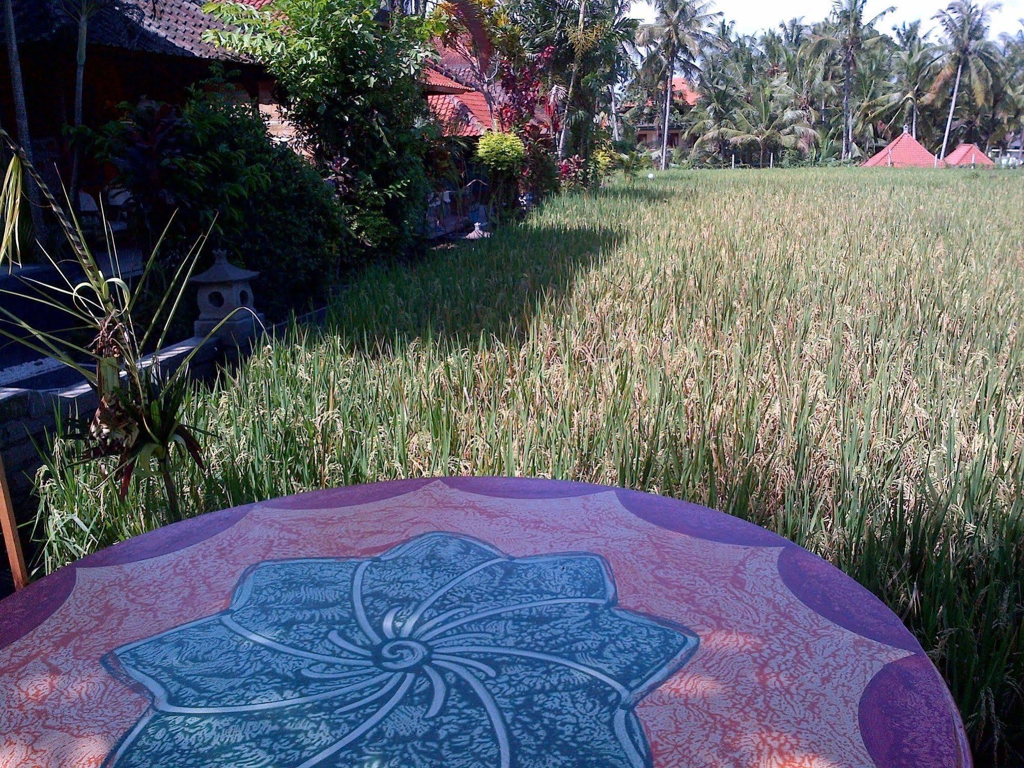 Puji Hostel And Bungalow Ubud Eksteriør billede