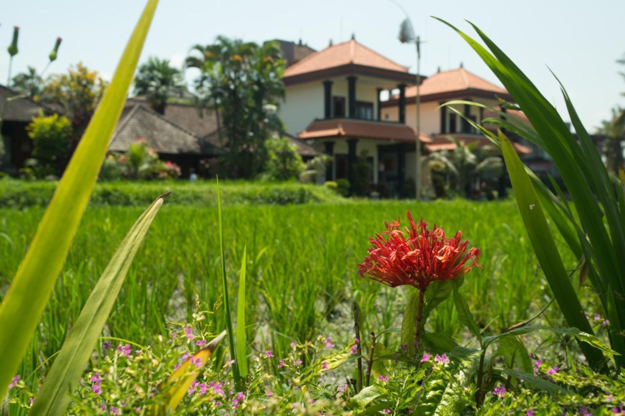 Puji Hostel And Bungalow Ubud Eksteriør billede